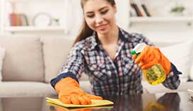 Regular House Cleaning