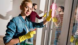 Windows Cleaning